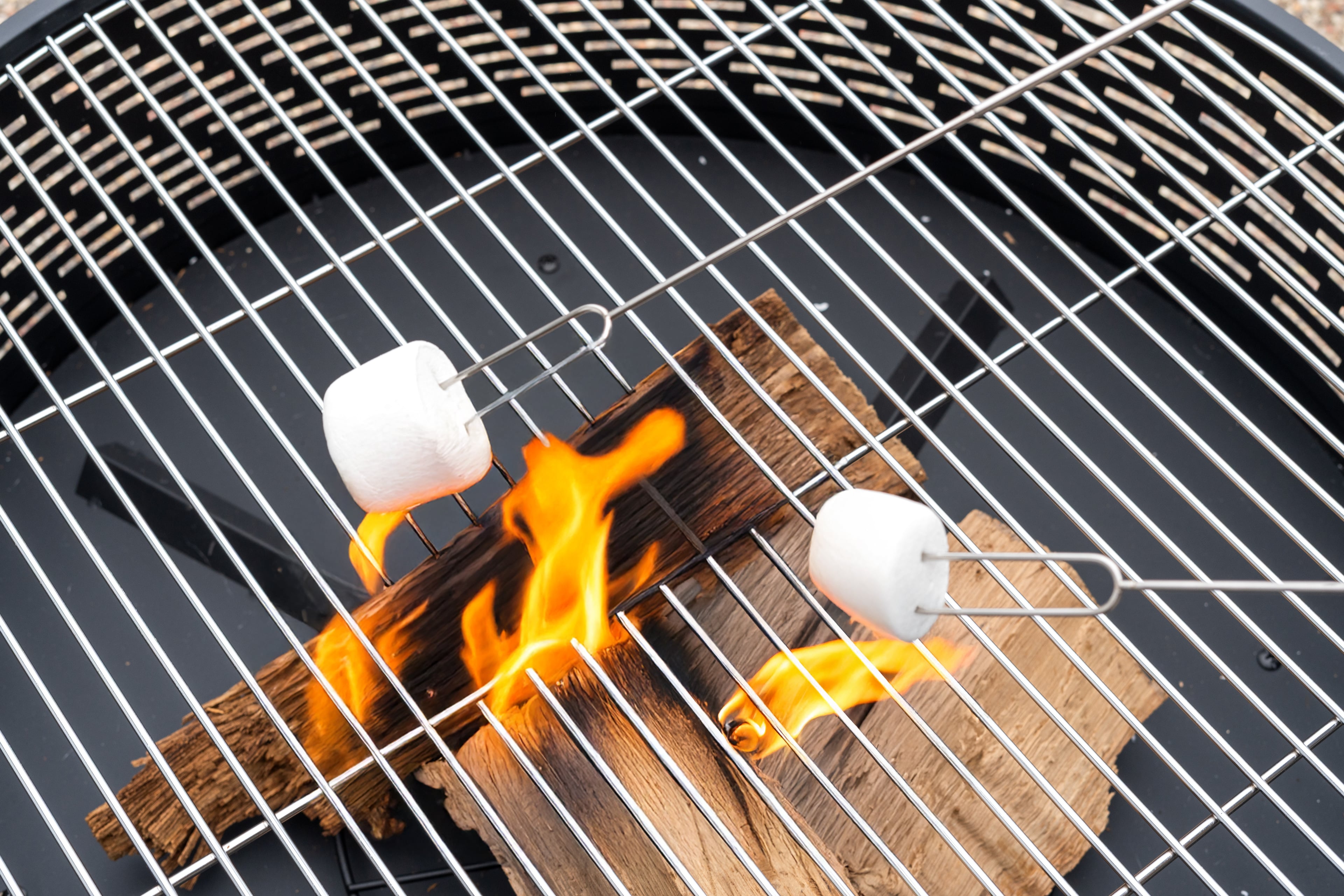 Backyard - Backyard Smores 2