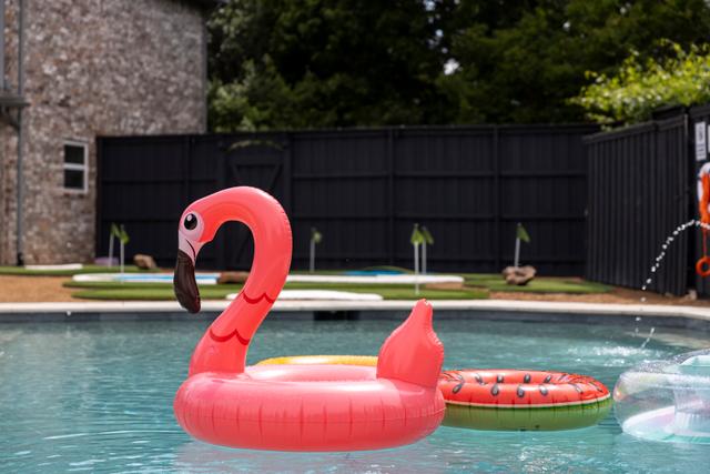 Backyard - Backyard Pool 6