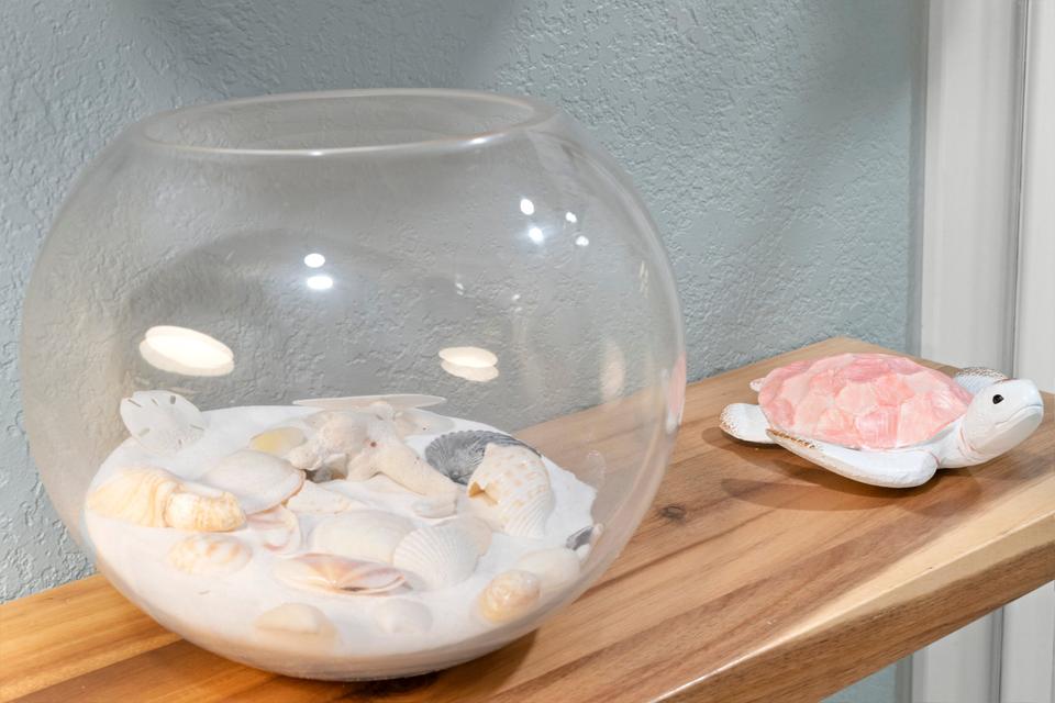 Decor - decor shells 01